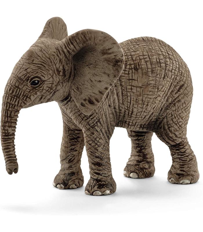 cria-de-elefante-africano