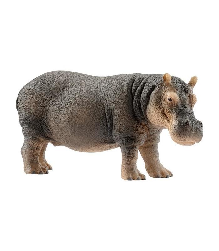 hipopotamo