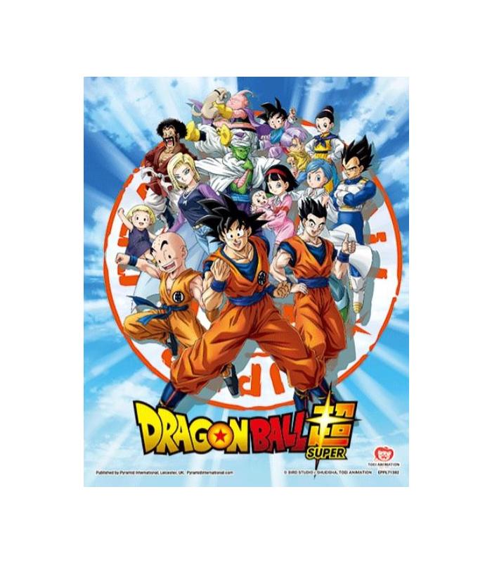 cuadro-3d-goku-and-the-z-fighters-db-sup