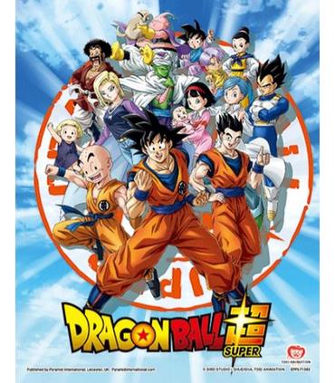 cuadro-3d-goku-and-the-z-fighters-db-sup