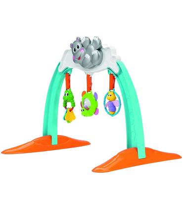 gimnasio-musical-hipopotamo