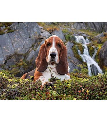 puzzle-charlie-brown-1000-pz