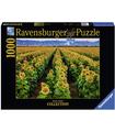 Puzzle Campo De Girasoles 1000 Pz