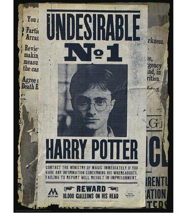 puzzle-para-rascar-harry-potter-wanted