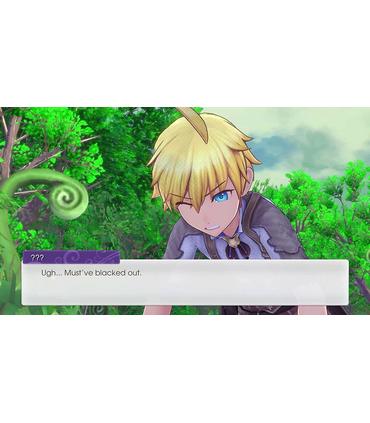 rune-factory-5-switch