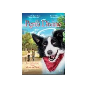 un-perro-divino-dvd-reacondicionado