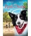 UN PERRO DIVINO (DVD) - Reacondicionado