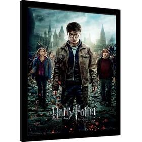 Cuadro 3D Harry Potter and the deathly hallows Part 2