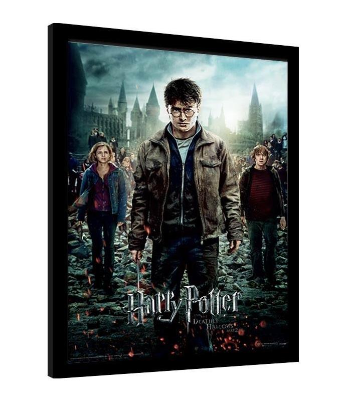 cuadro-3d-harry-potter-and-the-deathly-hallows-part-2