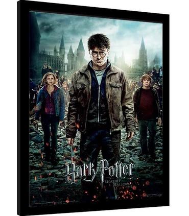 cuadro-3d-harry-potter-and-the-deathly-hallows-part-2