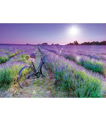 puzzle-bicicleta-en-campo-de-lavanda-1000pz