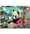 Puzzle Osos Panda 1000Pz