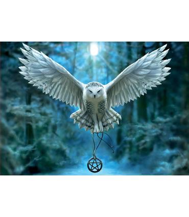 8412668179851puzzle-despierta-tu-magia-500pz