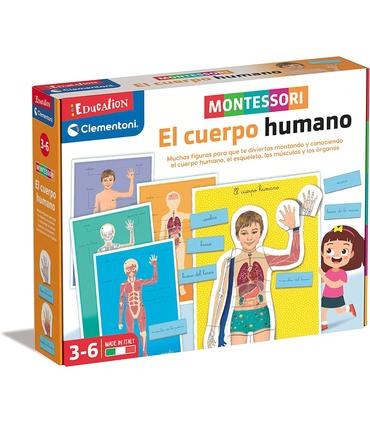 montessori-human-body