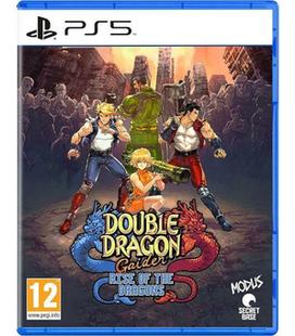 double-dragon-gaiden-rise-of-the-dragons-ps5