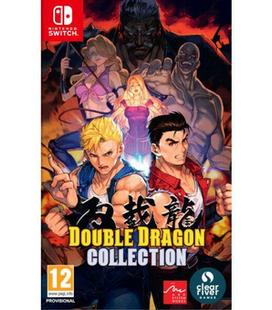 double-dragon-collection-switch