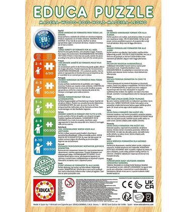 puzzle-raya-the-last-dragon-2x48-piezas