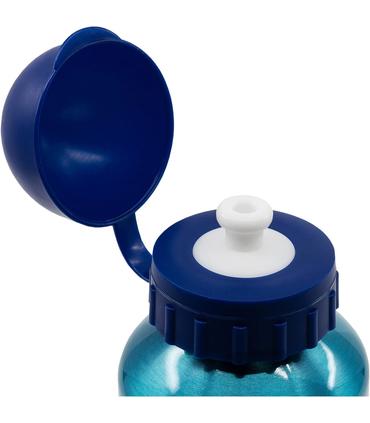 stor-botella-alumini-bluey