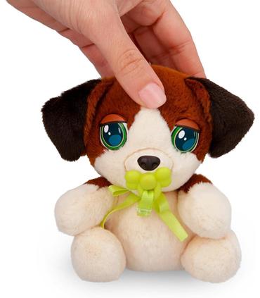 mini-beagle-baby-paws