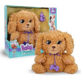 love-care-labradoodle-baby-paws