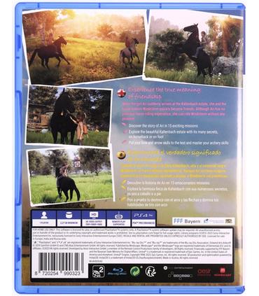 windstorm-an-unexpected-arrival-ps4