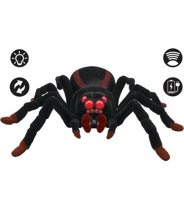 tarantula-arana-spider-control-r-c