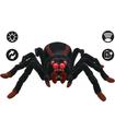 Tarantula Araña Spider Control R/C