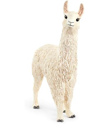 llama