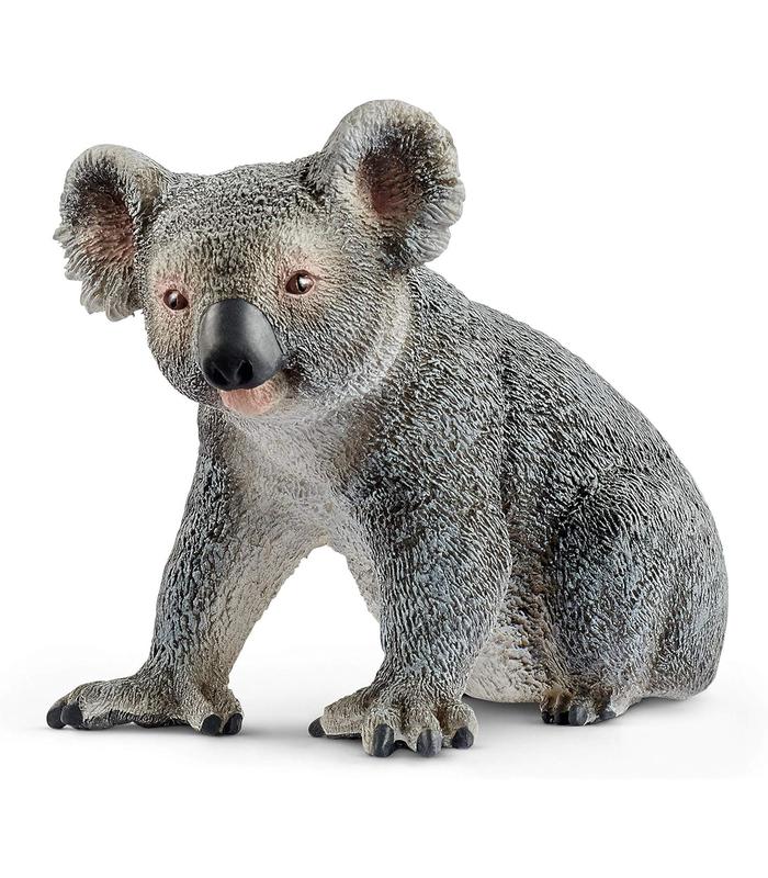koala-macho