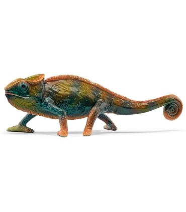 camaleon