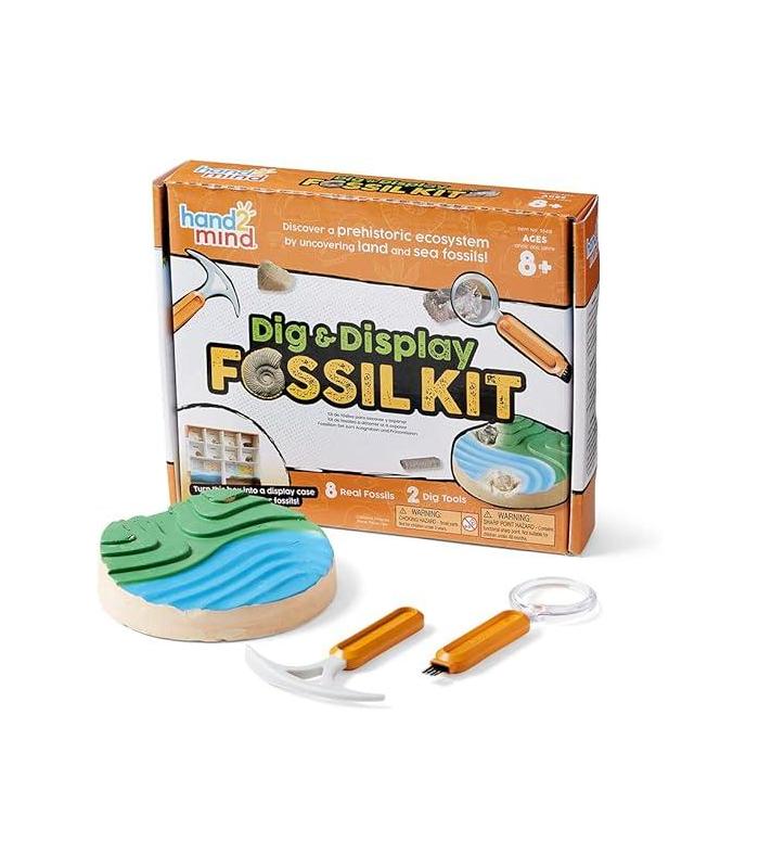 learning-resources-kit-de-excavacion-y-exposicion-de-fosiles