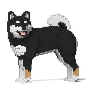 shiba-inu-02s-m01