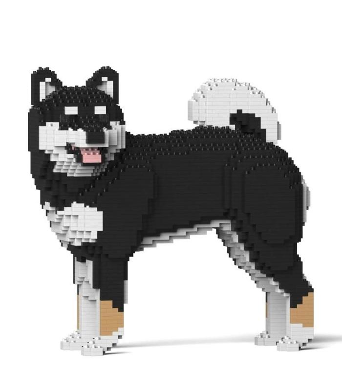 shiba-inu-02s-m01