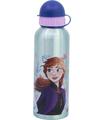 Botella Alum. 530 Ml Frozen Snowy Tale