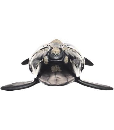 ballena-franca-glacial