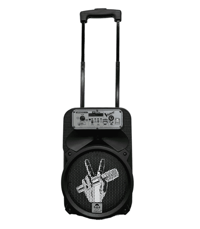 karaoke-la-voz-2-micros-bt