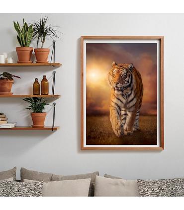 puzzle-1000-cb-tiger