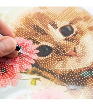 diamantiny-level-up-gatito-con-flor