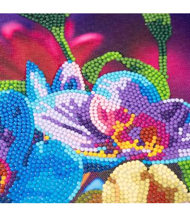 diamantiny-level-up-pop-orquidea