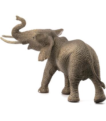 elefante-africano-macho