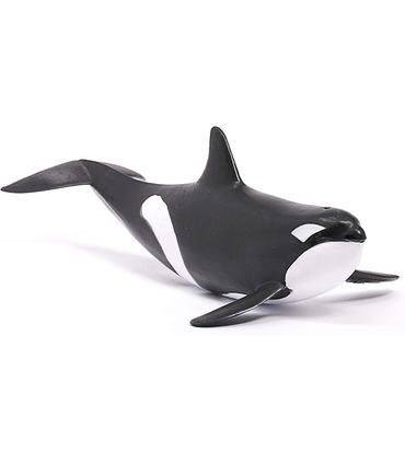 orca
