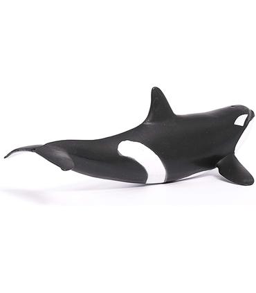 orca
