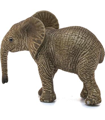 cria-de-elefante-africano