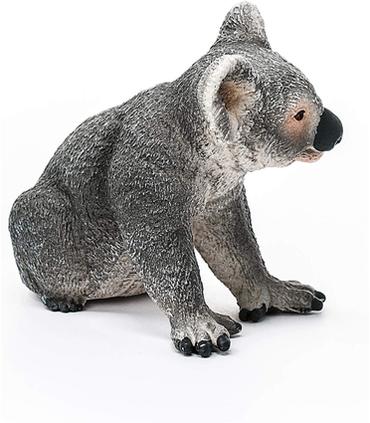 koala-macho