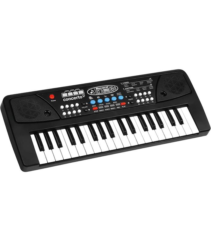 organo-37-teclas-con-micro