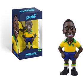 minix-brasil-pele-12