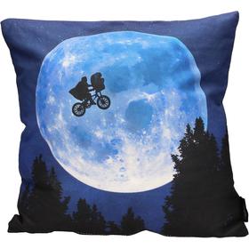 cojin-cuadrado-poster-e-t-envasado-vacio