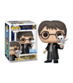 Figura Funko Pop & Buddy: Hps20- Harry W/ Hedwig