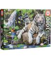 Puzzle Tigres Blancos de  Bengala 1000Pz